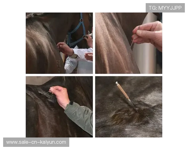 泰国马术协会推出马术运动员健康管理系统，关注运动员身心健康。